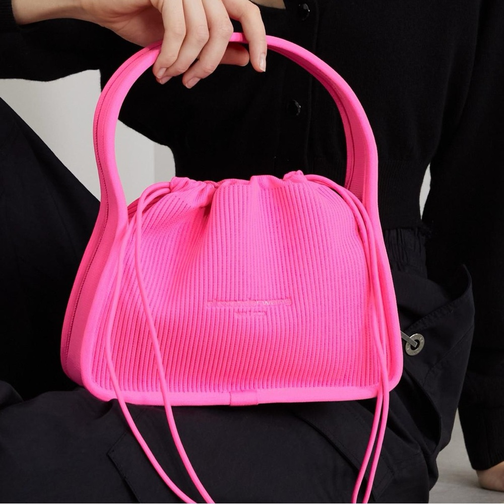 - Alexander Wang Ryan Small Bag